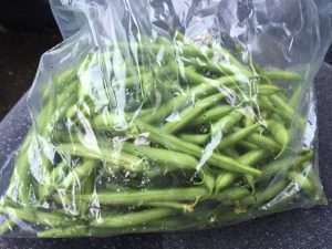 Bolsa plana